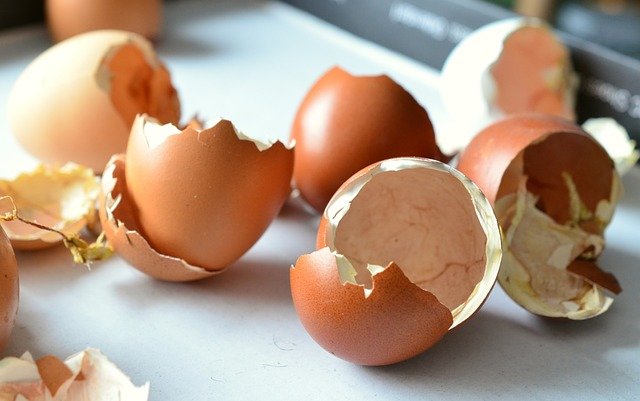 Broken egg shells used in collagen sourcing forcontract manufacturer of high-quality collagen supplements, we source our raw materials from natural sources such as chicken (sternum cartilage, eggshell membrane)