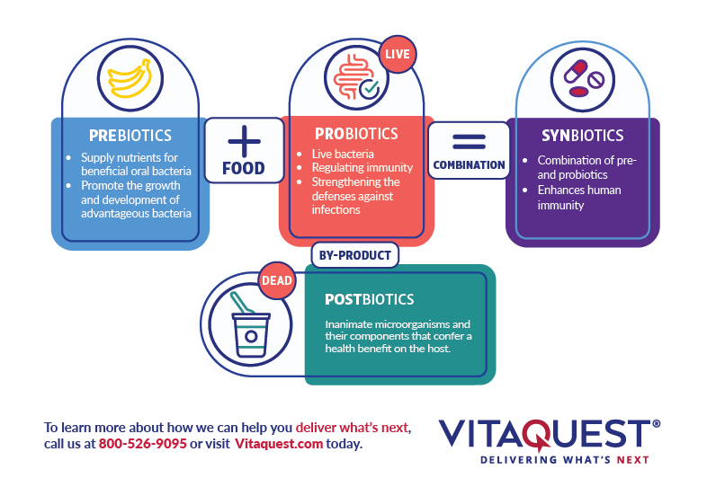 Infographic Explaining The Benefits of Synbiotics Infographic Explaining The Benefits of Synbiotics